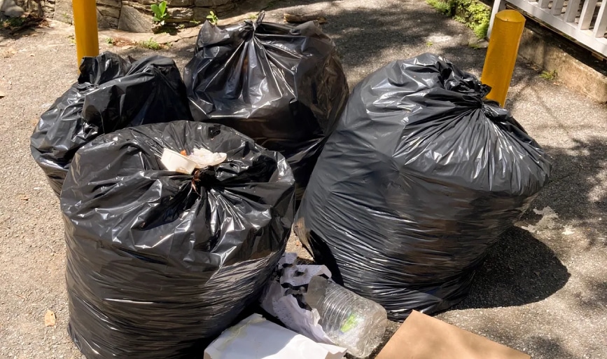 Junk Removal