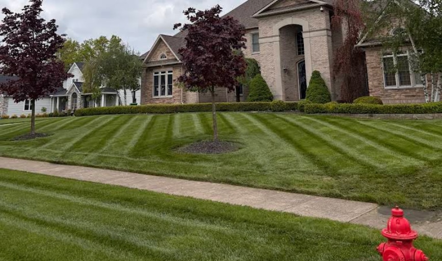 Lawn Care